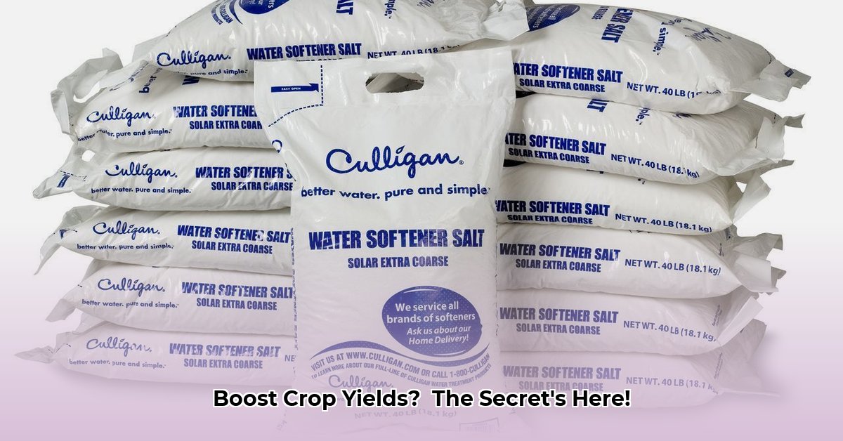 softener-salt-tractor-supply